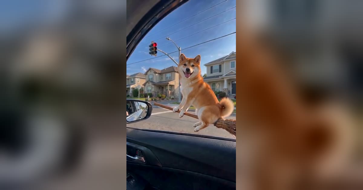 Which Photo Works Best for a Broom Riding AI Video?